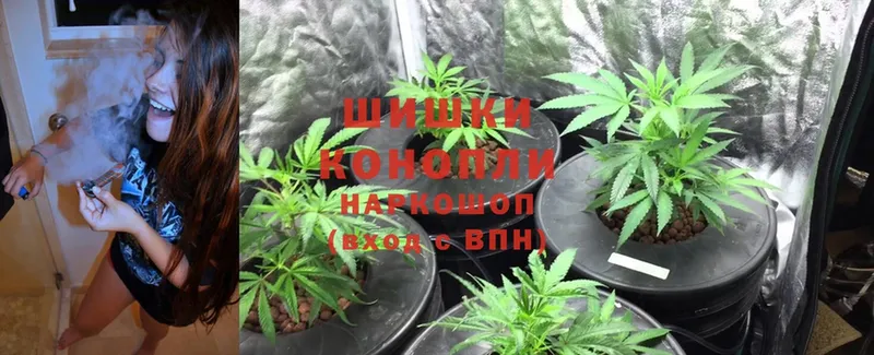 Бошки Шишки White Widow  Коломна 